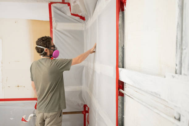Best Post-Construction Mold Inspection  in Bay Harbor Islands, FL